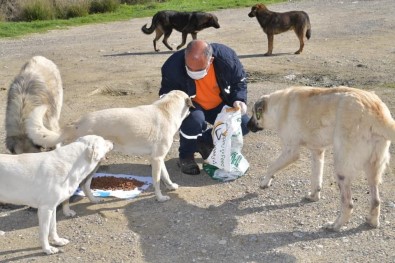 Başkan Çetin Açıklaması 'Hayvansever Bir Belediyeyiz'