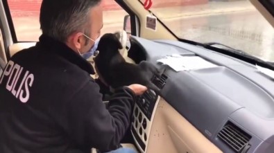 Donmak Üzere Olan Yavru Köpeğe Polis Şefkati