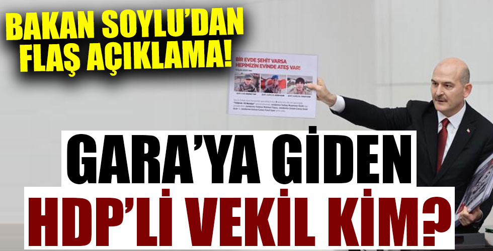 Gara'ya giden HDP'li vekil kim?