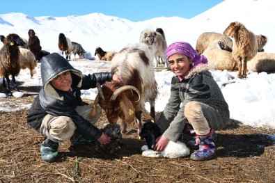 Kendileri Küçük Sorumlulukları Büyük