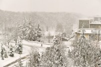SAÜ Kampüsünde Kartpostallık Kar Görüntüleri Haberi