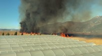 Antalya'da Korkutan Sazlık Yangını Haberi