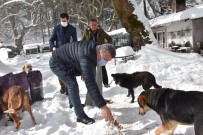 Edremit Belediyesi Soğuk Havalarda Sokak Hayvanlarının Yanında Haberi