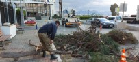 İzmir'de Fırtınadan 330 Ağaç Zarar Gördü Haberi