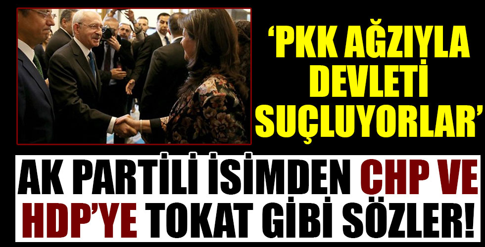 AK Partili isimden CHP ve HDP'ye sert sözler!
