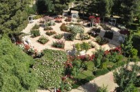 Botanik Çalıştayı İçin Başvurular 5 Mart'a Kadar Devam Edecek