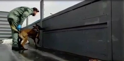 Dorsenin Yan Kapaklarının İçerisine Gizlenen Eroin Boby'e Takıldı