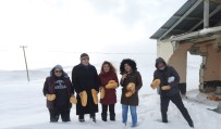Gürün Ziraat Odası Dondurucu Soğukta Hayvanları Unutmadı