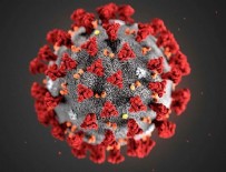 FINLANDIYA - Koronavirüsün yeni bir mutasyonu keşfedildi: Benzersiz