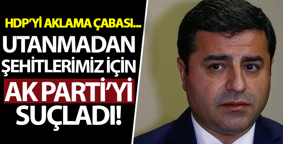 Selahattin Demirtaş: 'Siyasi şov amaçlı operasyonun sorumluluğu HDP'ye yüklenemez'