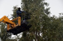 Aliağa Belediyesi Ekipleri Kalabak Mahallesi'nde Haberi