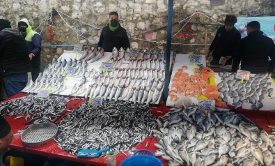 Balık Fiyatlarını Soğuk Vurdu
