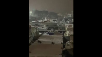 Balıkçı Barınaklarını Mesken Tutan Su Samurlarının Kar Keyfi