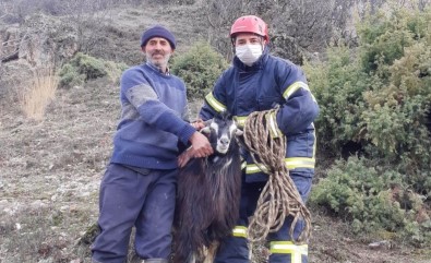 Dağda Mahsur Kalan Keçiyi İtfaiye Kurtardı