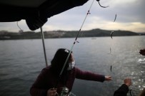 (Özel) Bursa'da Balıkçı Kadınlar 40 Yıllık Oltacılara Taş Çıkardı Haberi