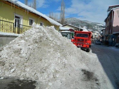 Posof'ta Kar Hayatı Olumsuz Etkiliyor