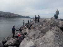 Amatör Balıkçılar Sarı Kanat Avladı