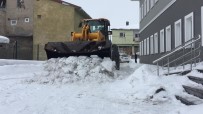Bingöl Karlıova'da, Karla Mücadelede 700 Kamyon Kar İlçe Dışına Taşındı Haberi