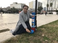 Ceyhan'da Sokak Hayvanlarına 500 Kilo Mama Haberi