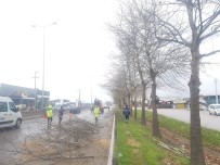 D-130'Da Ağaçlarda Bakım Ve Budama Yapıldı