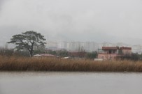Manisa'da Dereler Ve Sulama Kanalları Taştı Haberi