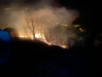 Türkeli'de Orman Yangını Haberi