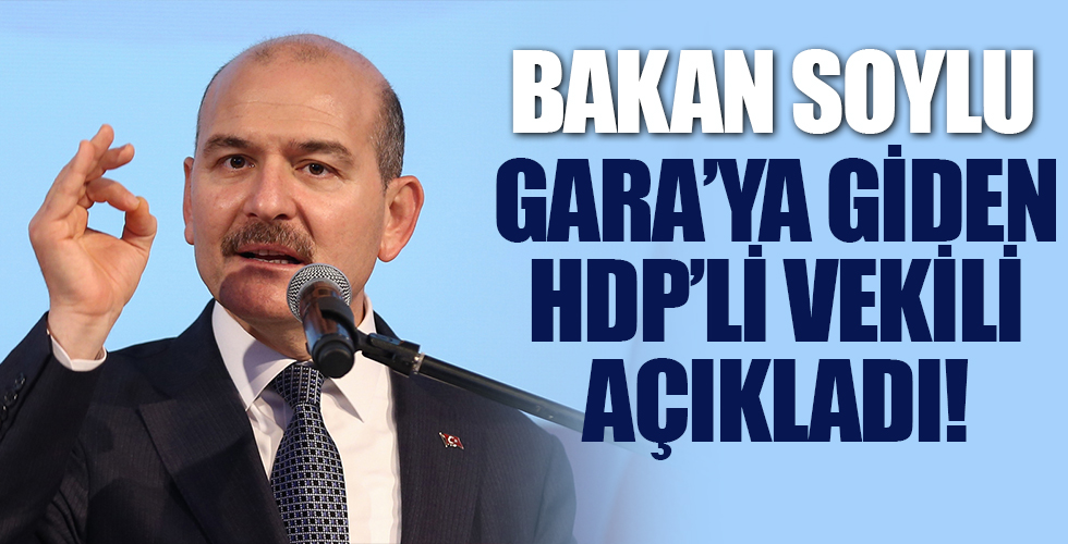 Bakan Soylu: Batı Türkiye'yi bir girdaba sürüklemek istiyor