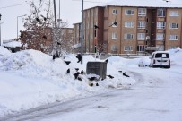 Bitlis Kara Gömüldü