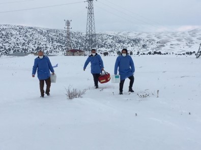 Bütün Zorlukları Korona Virüsü Yenmek İçin Aşıyorlar