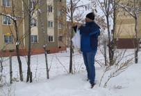 Kuşlar İçin Ağaçlara Elma Astı