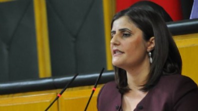 Bakan Soylu HDP'li vekilin GARA'ya gittiğini duyurmuştu...