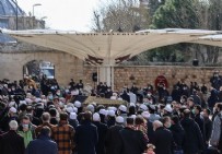 MUSTAFA ŞENTOP - İlahiyatçı Muhammet Emin Saraç son veda! Cenaze törenine Başkan Erdoğan da katılıyor!