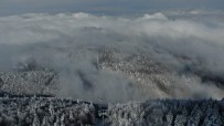 Uludağ'da Sislerin Ve Bulutların Arasında Büyüleyici Kar Manzaraları