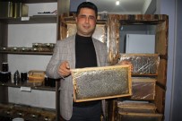 Arıcılık 'Resmi Meslek Statüsü' Kazandı