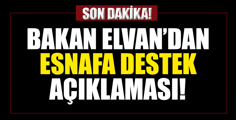 Hazine ve Maliye Bakanı Lütfi Elvan'dan esnafa destek açıklaması!