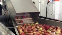 İtalya'da Gördüğü Meyve Ve Sebze Kurutma Tesisini Niğde'de Kurarak Yurt Dışına Açıldı