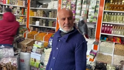 Niğde'de Bir Esnaf Müşterilerini Omzundan Ayırmadığı Papağanı 'Paşa' İle Karşılıyor