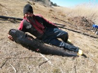 Burdur'un Gölhisar Gölü'nde Ağa, Rekor Büyüklükte Yayın Balığı Takıldı Haberi