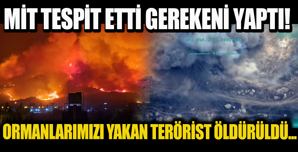 PKK'ya orman yakma talimatı veren terörist öldürüldü
