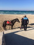 Sakatlanan Yarış Atına Çeşme'de Plaj Engeli Haberi