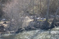 Yeşilırmak Nehri'nde Erkek Cesedi Bulundu Haberi