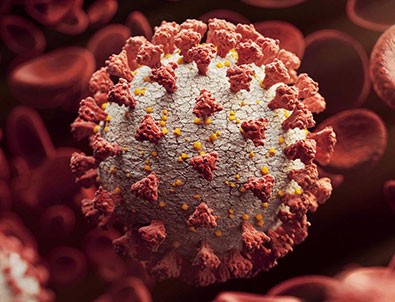 Bir mutasyon haberi daha!