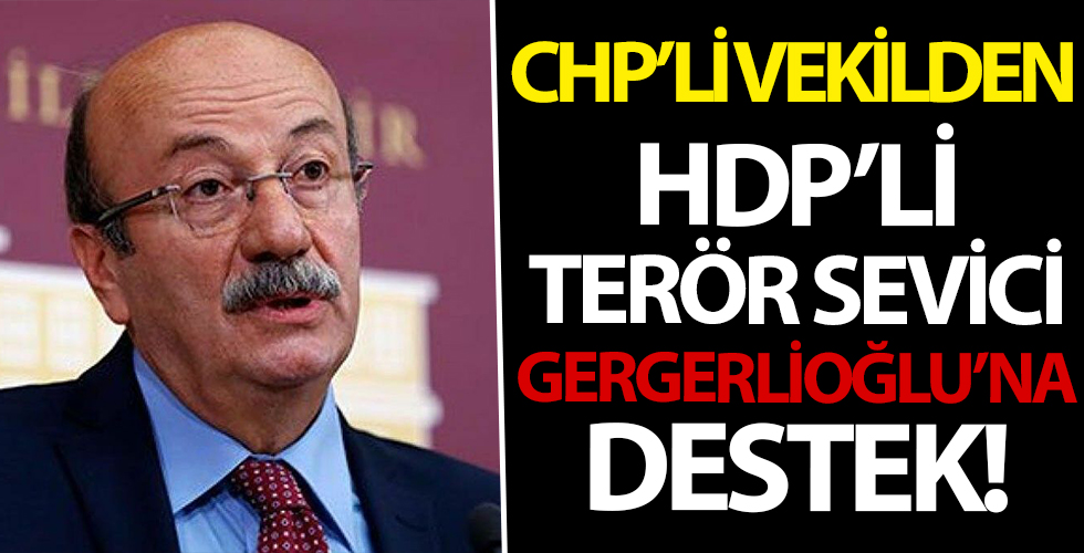 CHP İstanbul Milletvekili Mehmet Bekaroğlu'dan HDP'li Gergerlioğlu'na destek