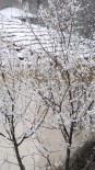 Erken Çiçek Açan Meyve Ağaçları Kar Altında Kaldı Haberi