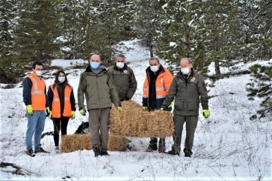 Kütahya'da Yılkı Atlarına Yem Desteği
