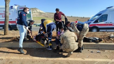 Şanlıurfa'da Otomobil Ağaca Çarptı Açıklaması 2 Yaralı