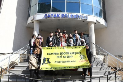 Çatak'ta Sokak Hayvanları İçin Mama Bırakıldı