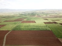 Elazığ'da Arazi Toplulaştırma Çalışmaları Sürüyor