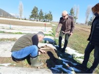 Isparta'da Bu Yıl 8 Milyon 377 Bin Fidan Yetiştirilmesi Hedefleniyor