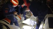 İzmir'de Yaralı Pelikan, Sahil Güvenlik Tarafından Kurtarıldı Haberi